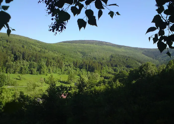 Lesniczowka W Dolinie