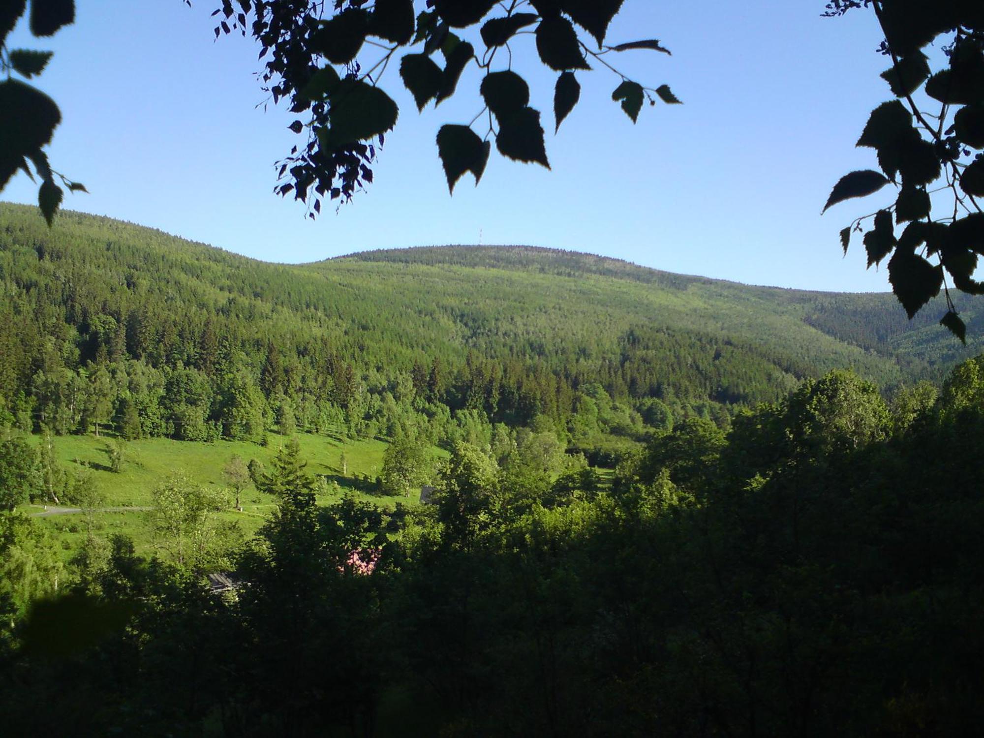 Apartament Lesniczowka W Dolinie